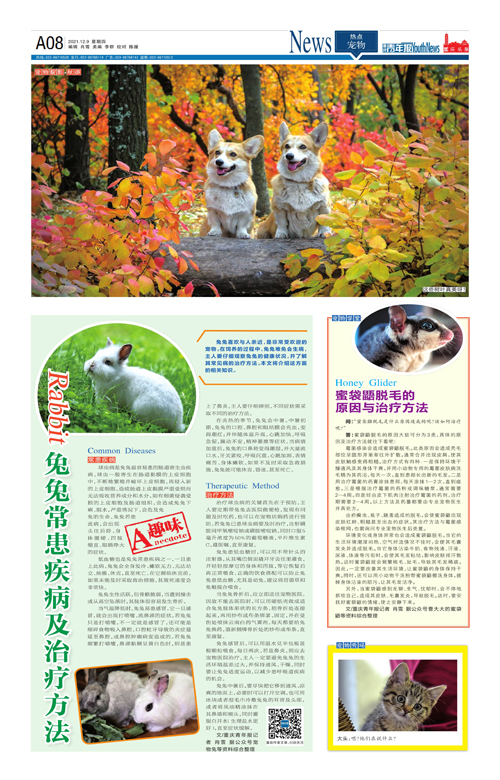 A08-兔兔常患疾病及治疗方法