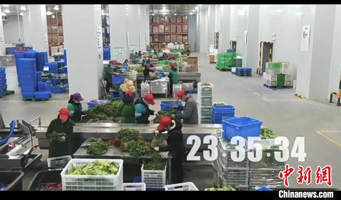 上海“菜篮子”量足价稳共享员工解决最后一公里难题