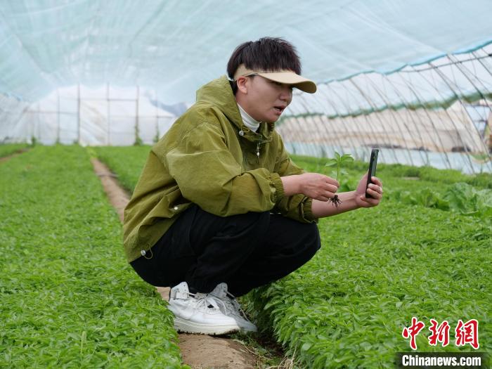 图为赵娟以直播的方式线上培训红辣椒种植户。　胡建华 摄