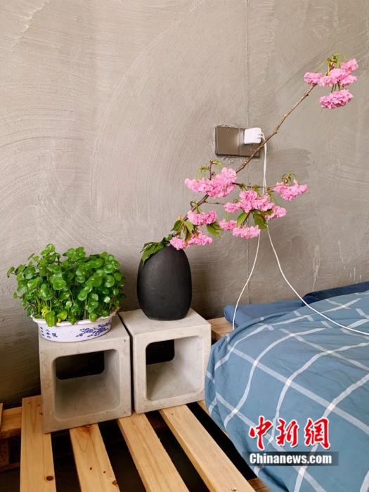 　　自制的置物台与鲜花相得益彰。杨浩贤 摄