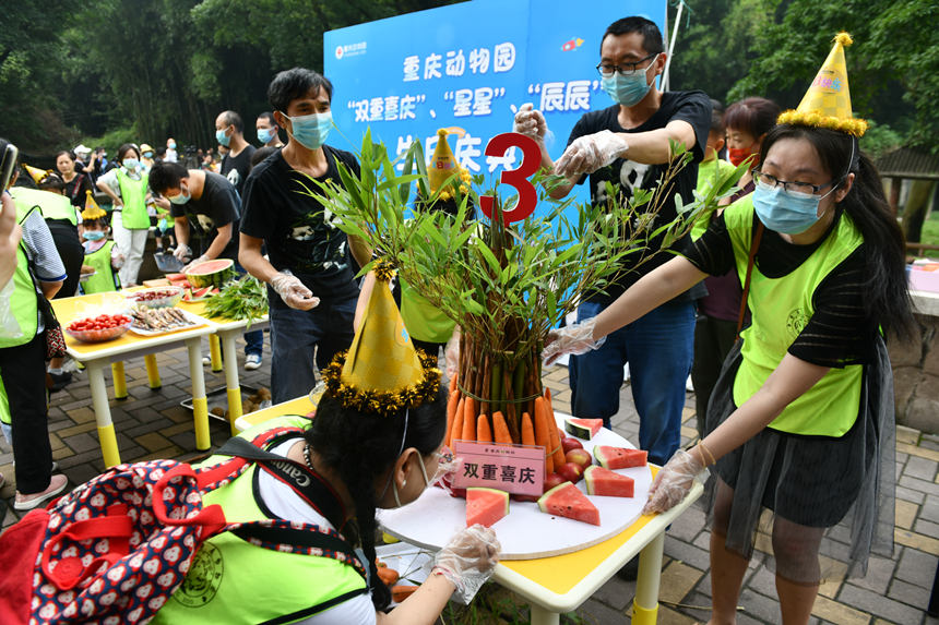 参加生日会的市民游客为大熊猫制作“生日蛋糕”。邹乐摄