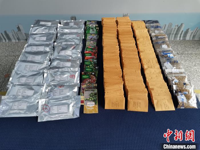 图为北京邮局海关查获的非法进境植物种子。　孟晨 摄