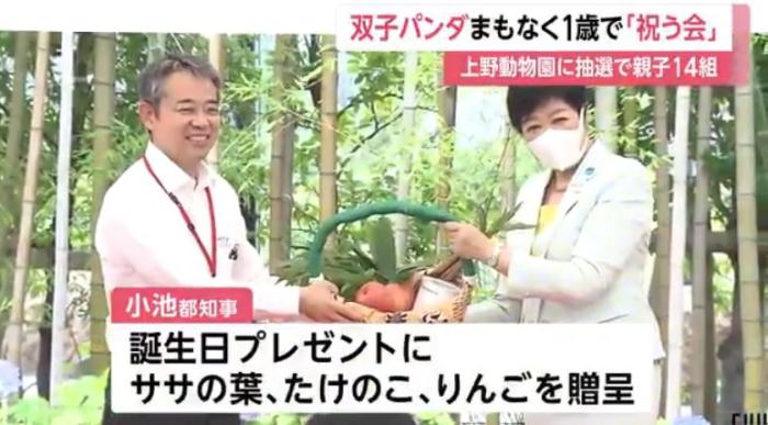 20日，日本东京上野动物园为大熊猫“晓晓”和“蕾蕾”举办生日庆祝会，图为东京都知事小池百合子为两只熊猫赠送生日礼物。图片来源：日本富士电视台报道截图