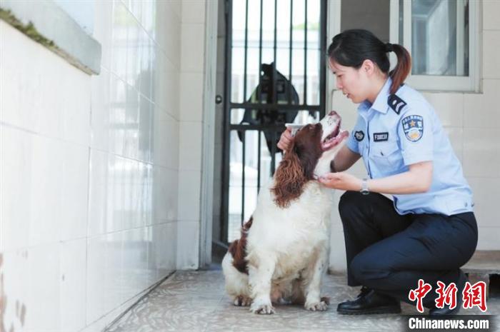 丁玉兰给“仔仔”梳理毛发 陆一平 摄 摄