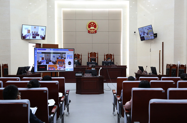 重庆：代表委员走进巡回审判站观摩庭审