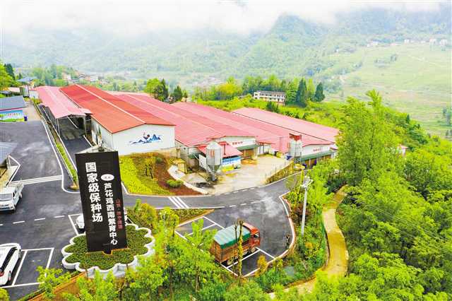 120多个山东特色农业品种在重庆开花结果