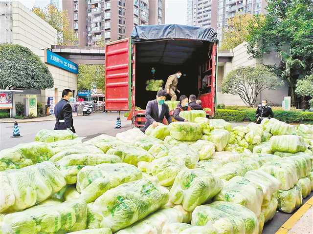 1500公里 50吨山东捐赠大白菜到重庆