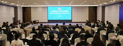 贰 | 重庆团团这些年……