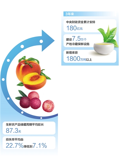 田间“大冰箱”存住果蔬茶鲜味（经济新方位・县域经济观察）