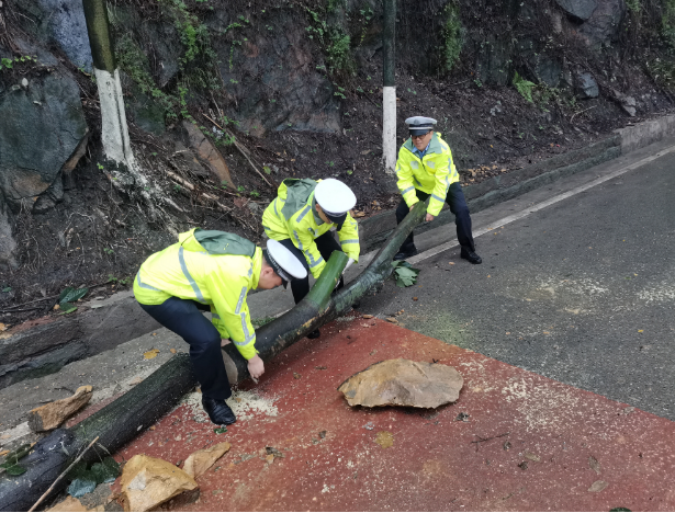 连日降雨引发山体滑坡 交巡警徒手清理落石除隐患