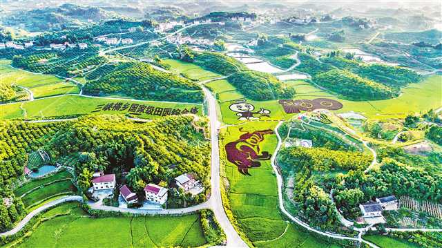 鸟瞰忠县三峡橘乡田园综合体。（受访者供图）