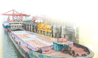 12月6日，重庆市涪陵区龙头港，到港船只在卸运粮食。马天龙摄（人民视觉）