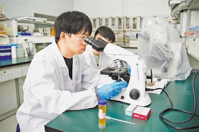 西南大学师生正应用环境DNA技术对采集的长江水样进行分析。（受访者供图）