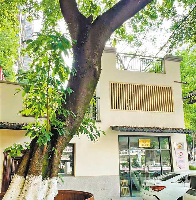 变身后的工人村“劳动者港湾”。